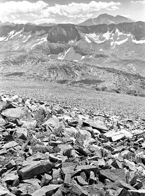 Desolation above timberline