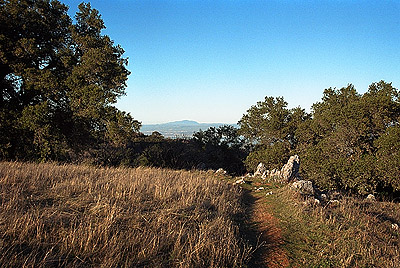 Mt. Diablo from just east of the summit
