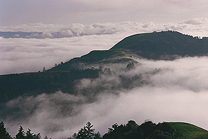 Fog rolling in, view from Hawk Trail