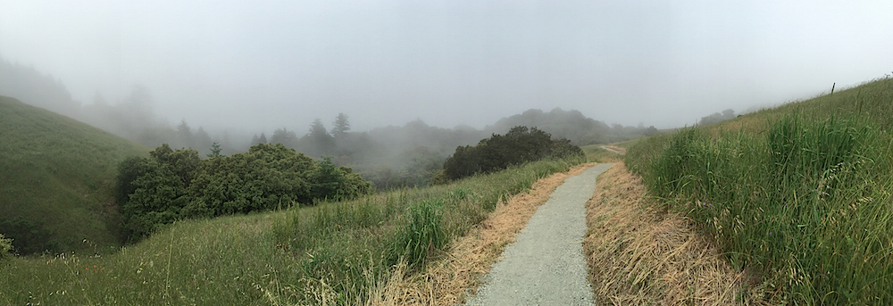 Russian Ridge vista in fog